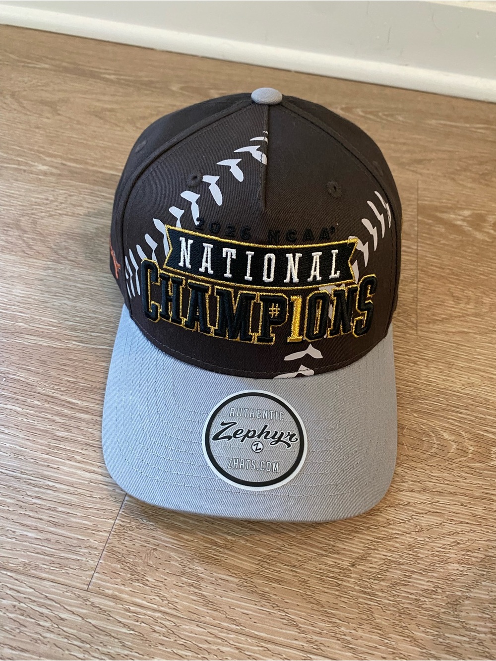 NWT Longhorn University of Texas UT National Champions cap unisex